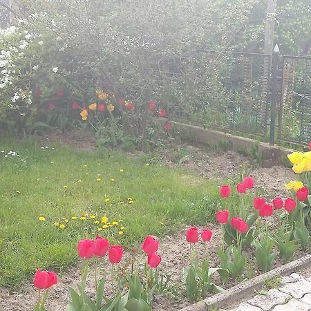 Álom Kuckó Apartman Zalaegerszeg Kültér fotó